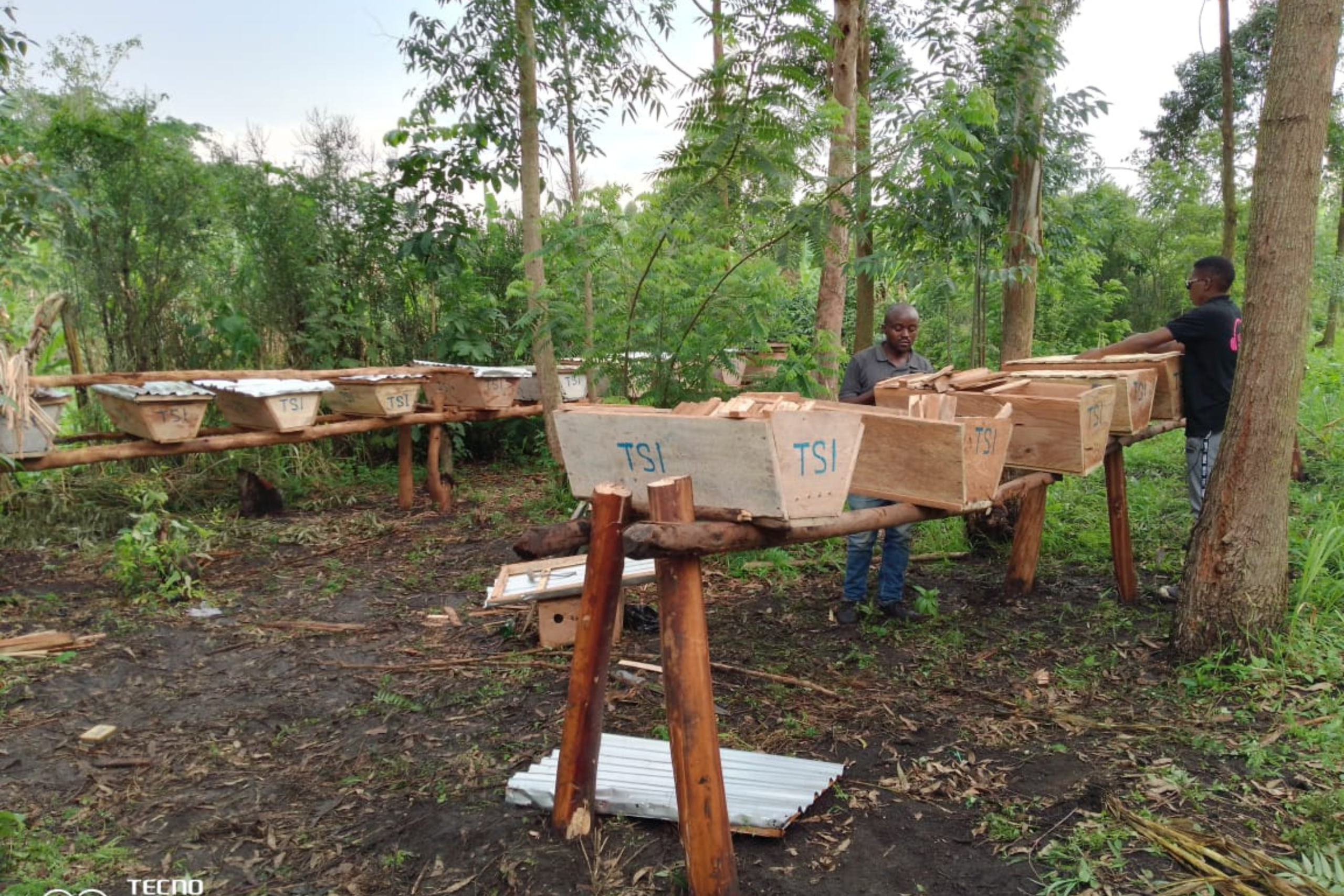 Livelihoods & Economic Empowerment 34