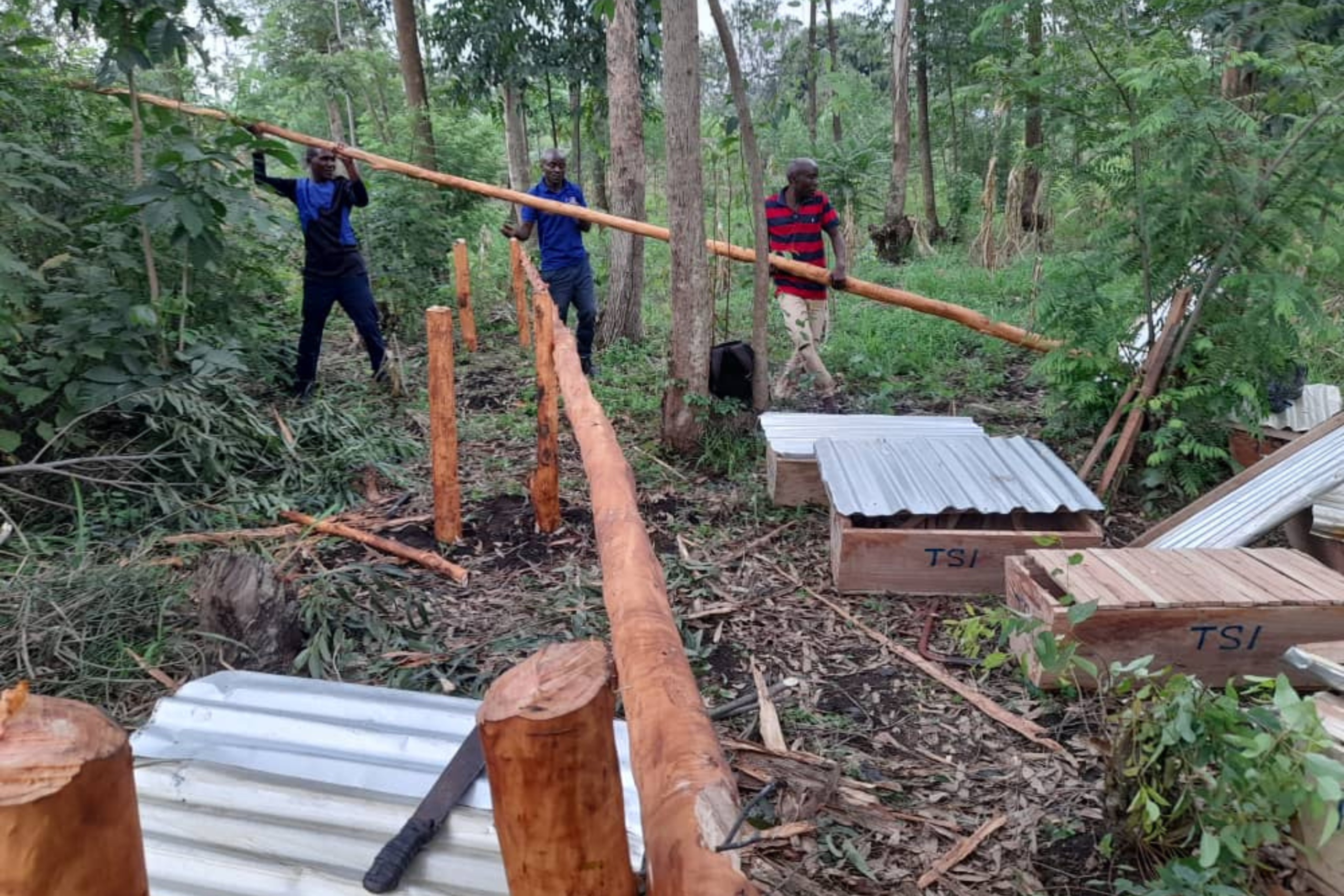 Livelihoods & Economic Empowerment 36